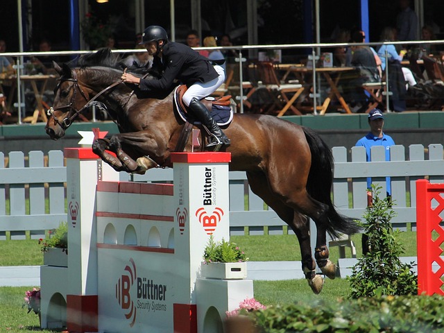 但這筆交易 但這筆交易