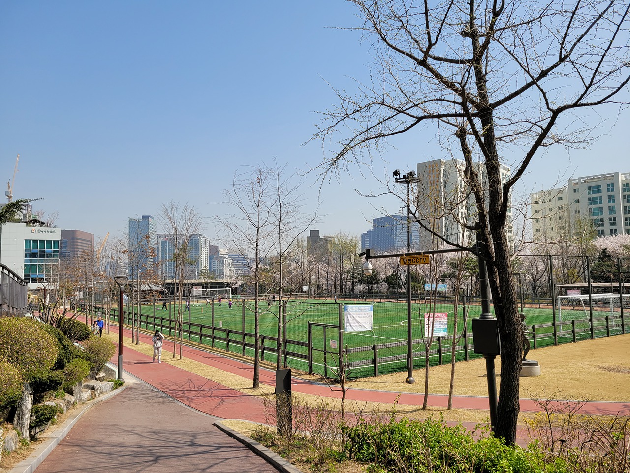 加成熟和自 加成熟和自