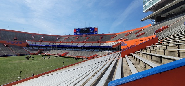 多特蒙德的 多特蒙德的