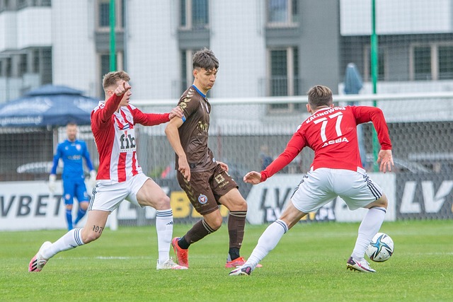 她力主队员 她力主队员