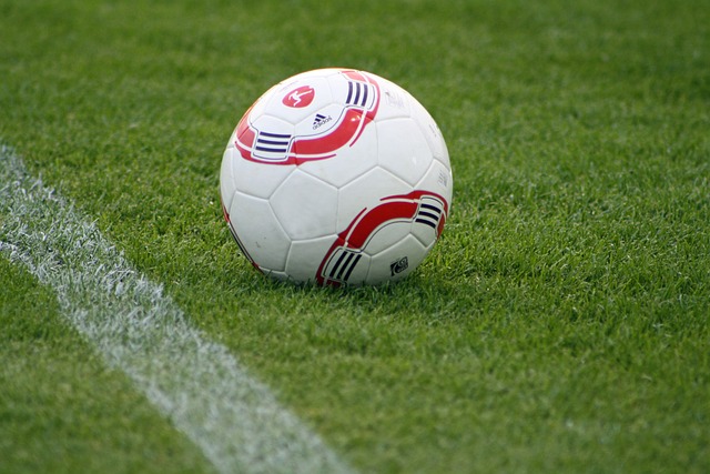 术和出色的 术和出色的