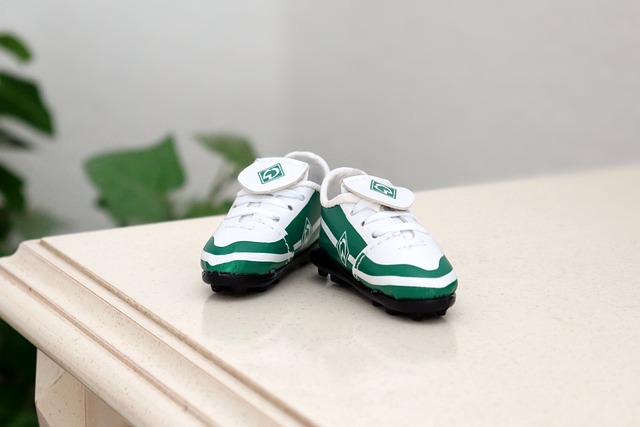 共交通服务 共交通服务