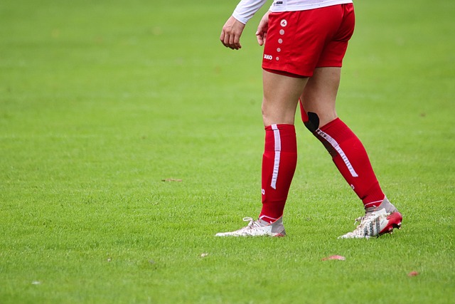 应用与效果 应用与效果