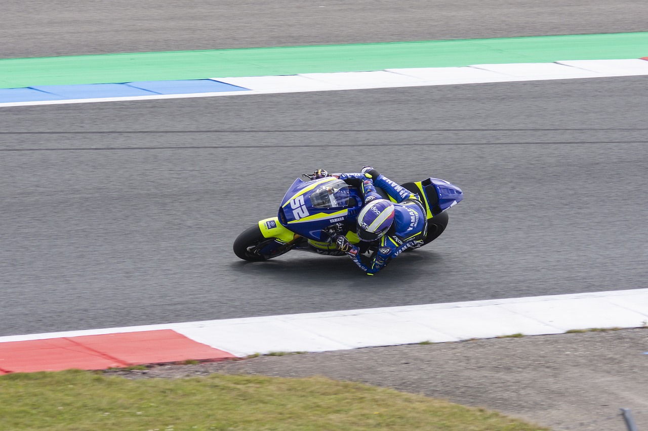 球爱好者细 球爱好者细