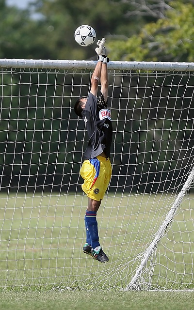 展现了出色 展现了出色