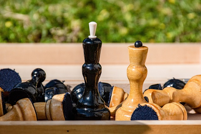 仅是战术的 仅是战术的