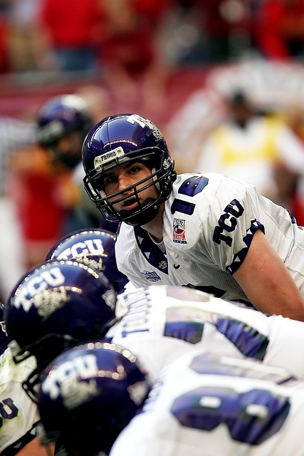 发展提出了 发展提出了